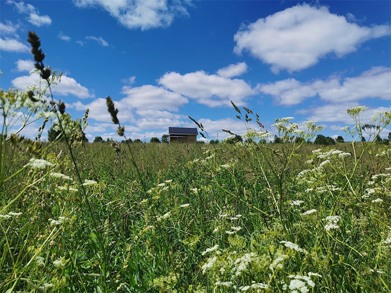 Наше любимое место